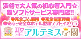 聖アルテミス学園