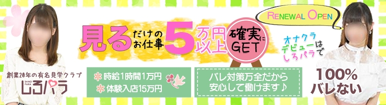 しろパラ