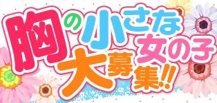 貧乳パラダイス