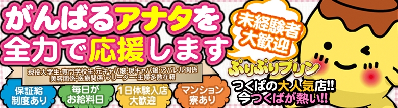 ぷりぷりプリン　つくば店