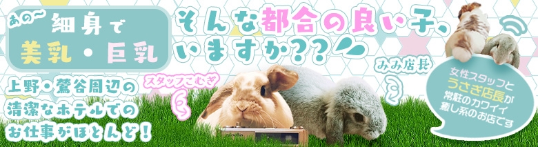 ぷるりんクエスト 上野浅草鶯谷秋葉原デリヘル王国 