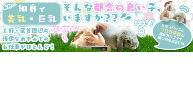 ぷるりんクエスト 上野浅草鶯谷秋葉原デリヘル王国 