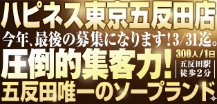 ハピネス東京