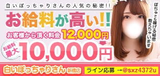 白いぽっちゃりさん新橋店