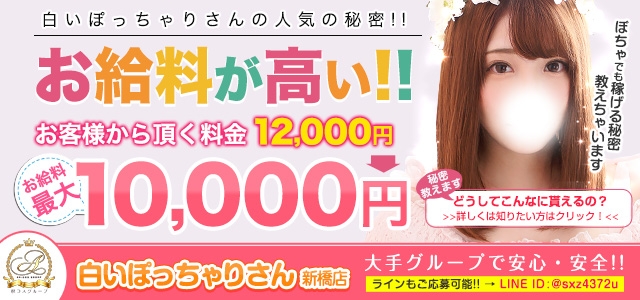 白いぽっちゃりさん新橋店