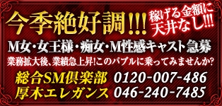 総合SM倶楽部　厚木エレガンス