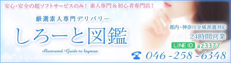 しろーと図鑑