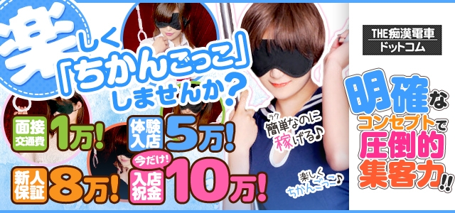 ＴＨＥ痴漢電車.com