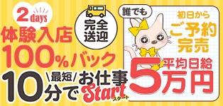 やんちゃな子猫 京橋店