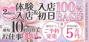 やんちゃな子猫 神戸三宮店
