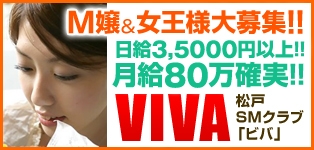 松戸VIVA