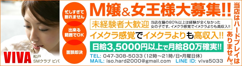 松戸VIVA