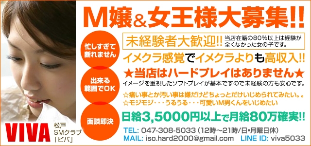 松戸VIVA