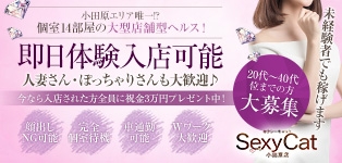 セクシーキャット 小田原店