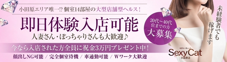 セクシーキャット 小田原店
