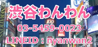渋谷わんわん