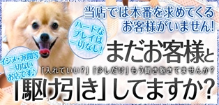 クラブシャングリラ