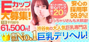 もみもみワンダーランド