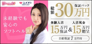 横浜夢見る乙女