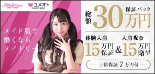 千葉メイドリーム