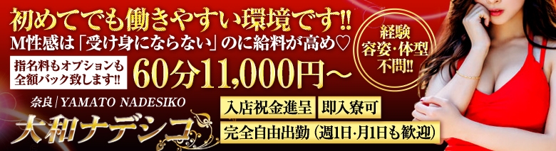 大和ナデシコ～人妻M性感～