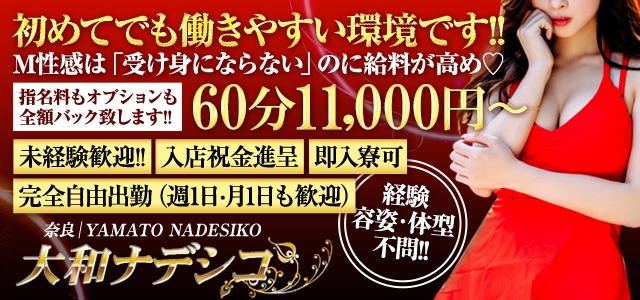 大和ナデシコ～人妻M性感～