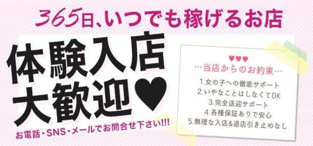 業界未経験 . MAX