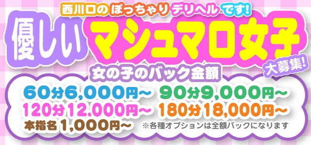 ぽちゃメイド 