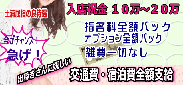 ルックコレクション