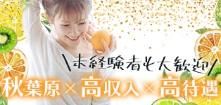 秋葉原人妻城
