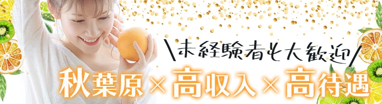 秋葉原人妻城