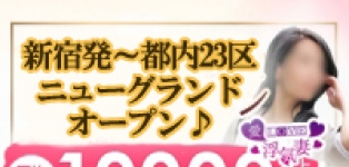 愛LOVE浮気妻