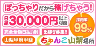 山梨甲府甲斐ちゃんこ