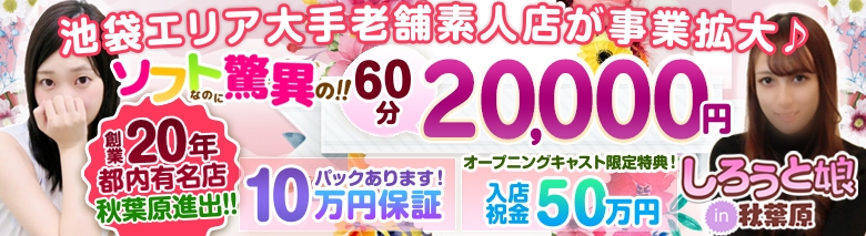 しろうと娘in秋葉原