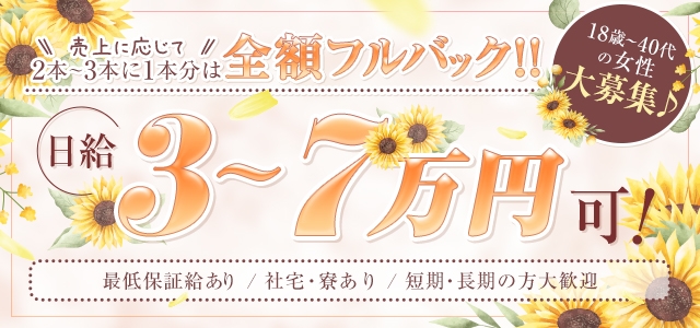 向日葵（ひまわり）