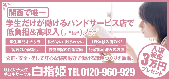 白指姫