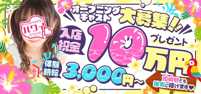 2ショットキャバクラ　ハワイ