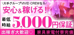VIVID CREW Pink Party Paradaice