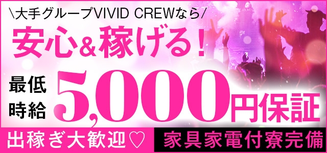 VIVID CREW Pink Party Paradaice