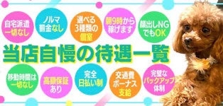 エロエロ星人 豊橋店