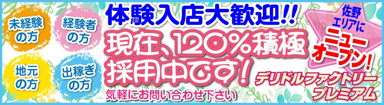 デリドルファクトリープレミアム