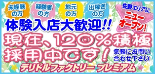 デリドルファクトリープレミアム