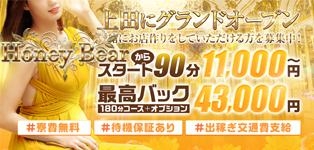 Honey Bear (ハニーベア)