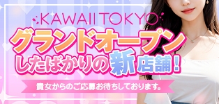 KAWAII TOKYO-Japanese Call Girl-