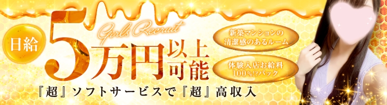 MITSUBACHI-ミツバチ-