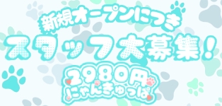 2980円（にゃんきゅっぱ）