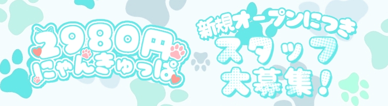 2980円（にゃんきゅっぱ）
