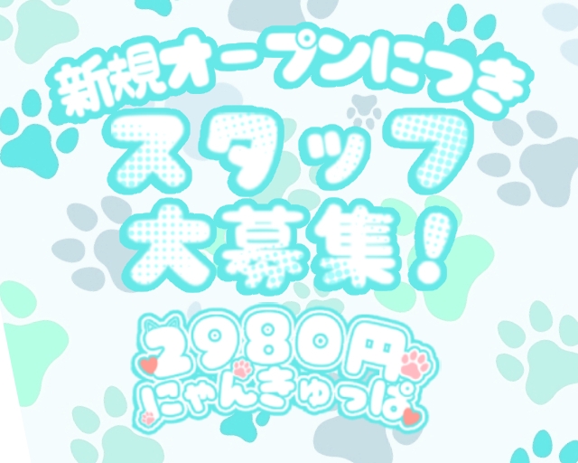 2980円（にゃんきゅっぱ）