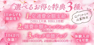 桜色学園