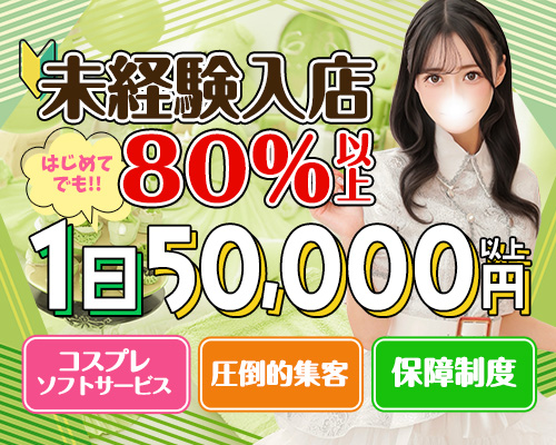 秋葉原コスプレ学園